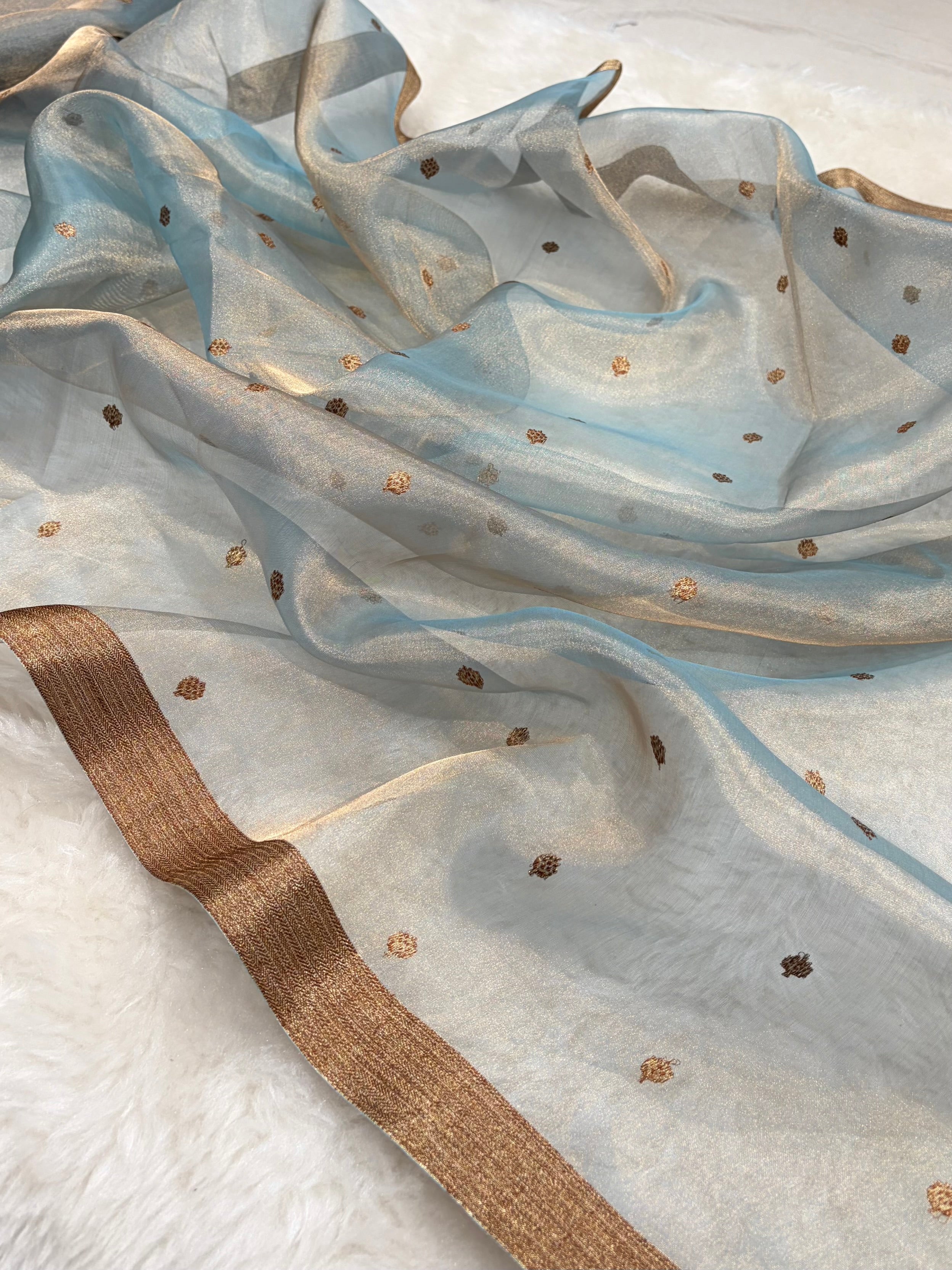 Sky Blue Bananasi Floral Shades Pure Tissue Silk Saree PT-44