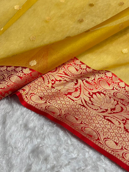 Contrast Pure Banarasi Organza Mustard With Red Floral Banarasi Silk Saree PO-15