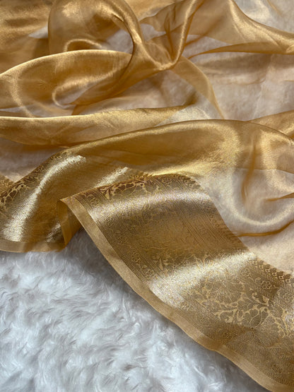 Tusser Shade Pure Tissue Silk Saree with Brocade Blouse PT-18