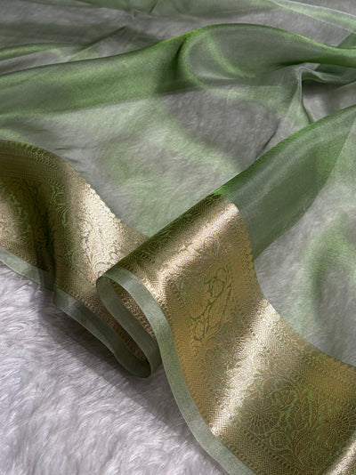 Banarasi Light Green Shades Pure Tissue Silk Saree PT-60