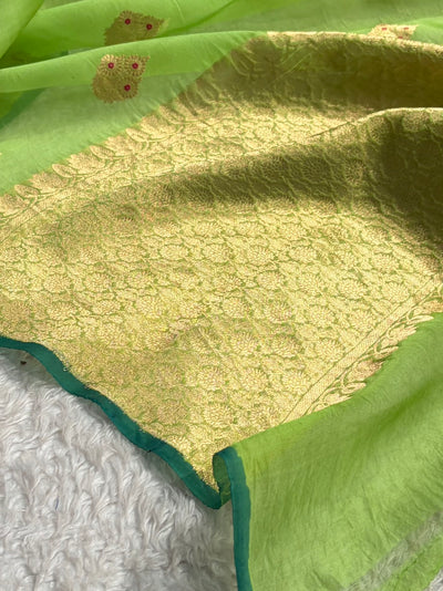 Pure Banarasi Organza Pista Green Shades With Minakari Floral Banarasi Silk Saree PO-30
