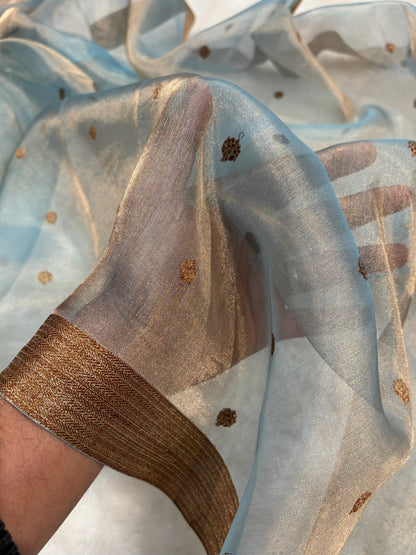 Sky Blue Bananasi Floral Shades Pure Tissue Silk Saree PT-44