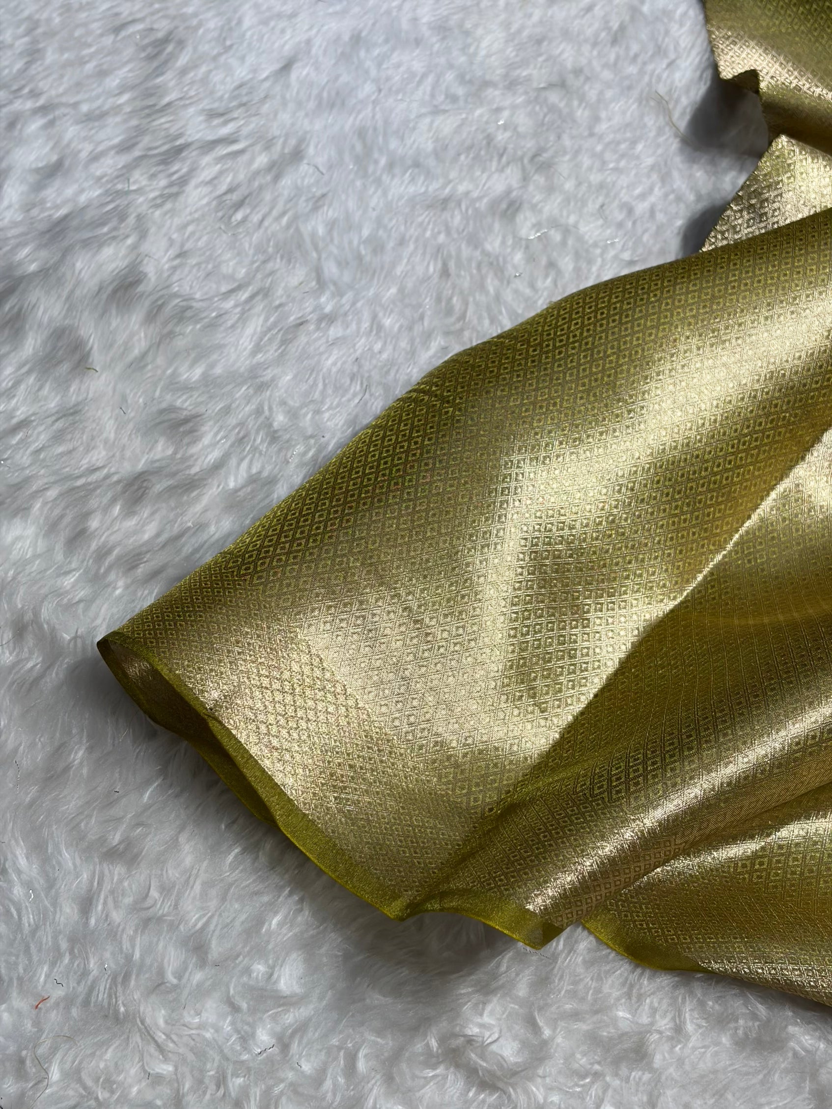 Light Green Shades With Floral Embroidered Pure Tissue Silk Saree with Brocade Blouse PTE-09