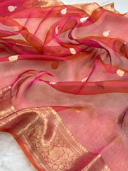 Red Bananasi Floral Shades Pure Tissue Silk Saree PT-38