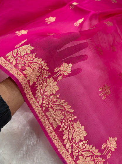 Pure Banarasi Organza Rani Shades Floral Banarasi Silk Saree PO-25