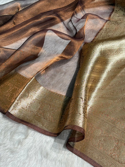 Chocolate Shades Pure Tissue Silk Saree with Brocade Blouse PT-08