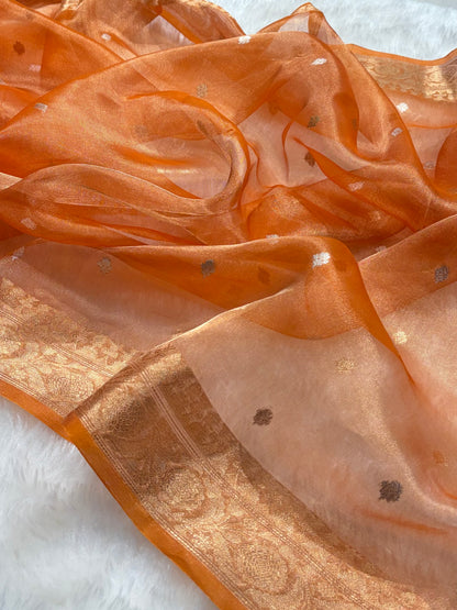 Orange Bananasi Floral Shades Pure Tissue Silk Saree PT-34