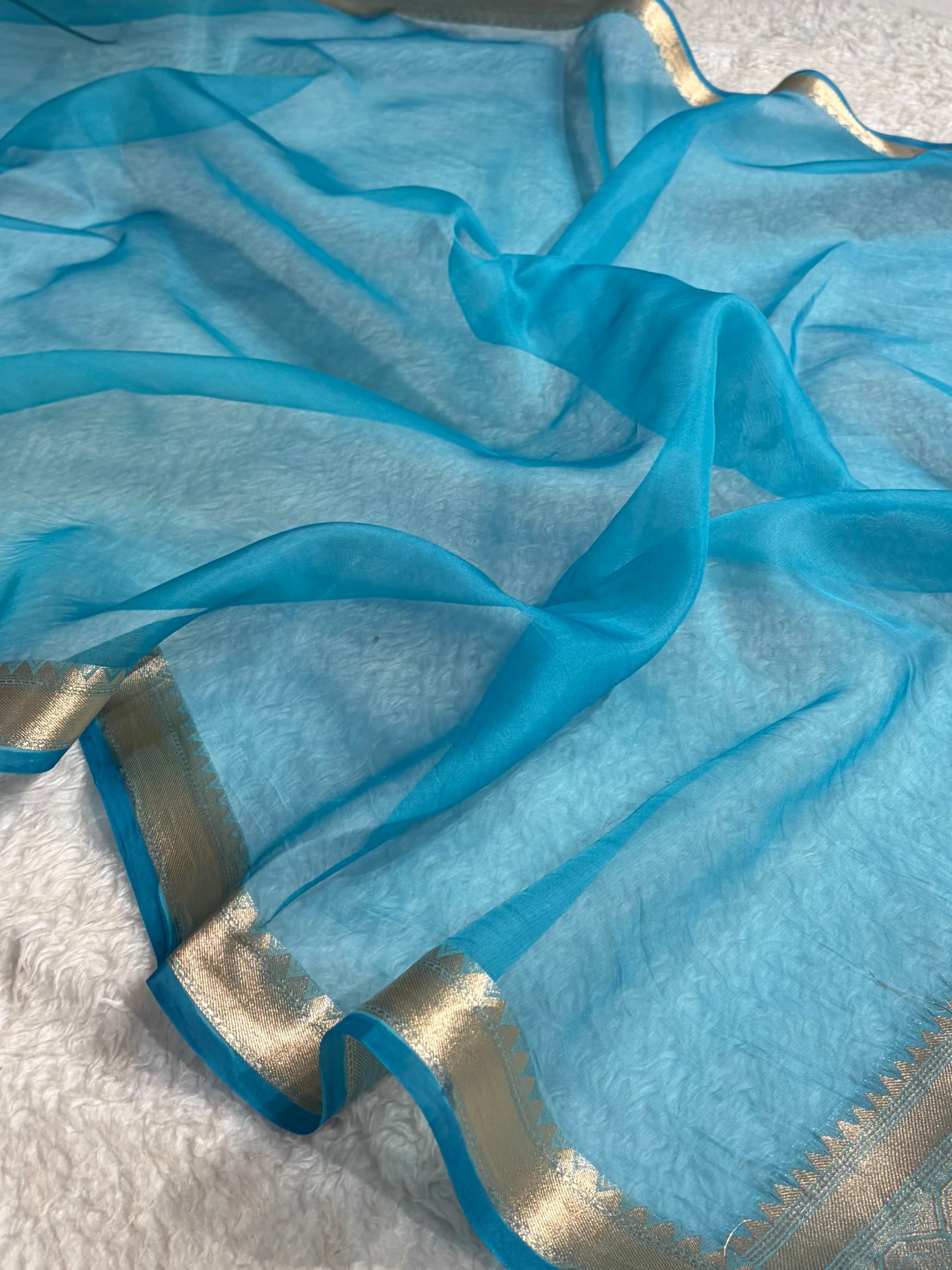 Pure Organza Sky Blue Banarasi Silk Saree PO-01