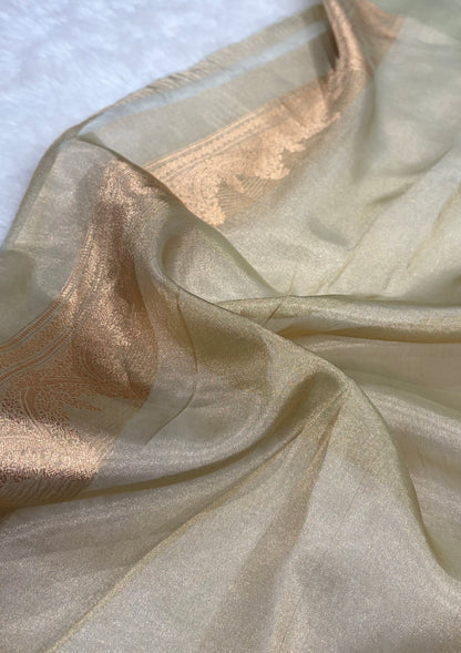 Tusser Bananasi Floral Shades Pure Tissue Silk Saree PT-48