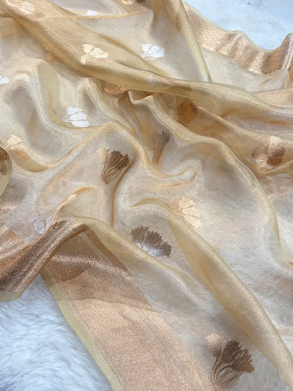 Tusser Bananasi Floral Shades Pure Tissue Silk Saree PT-53