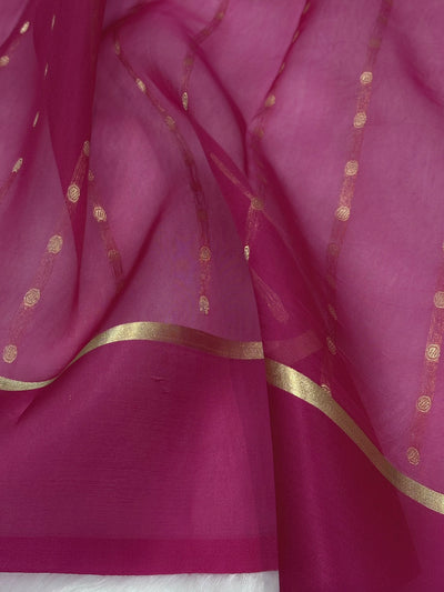 Pure Organza Rani Floral Banarasi Silk Saree PO-03