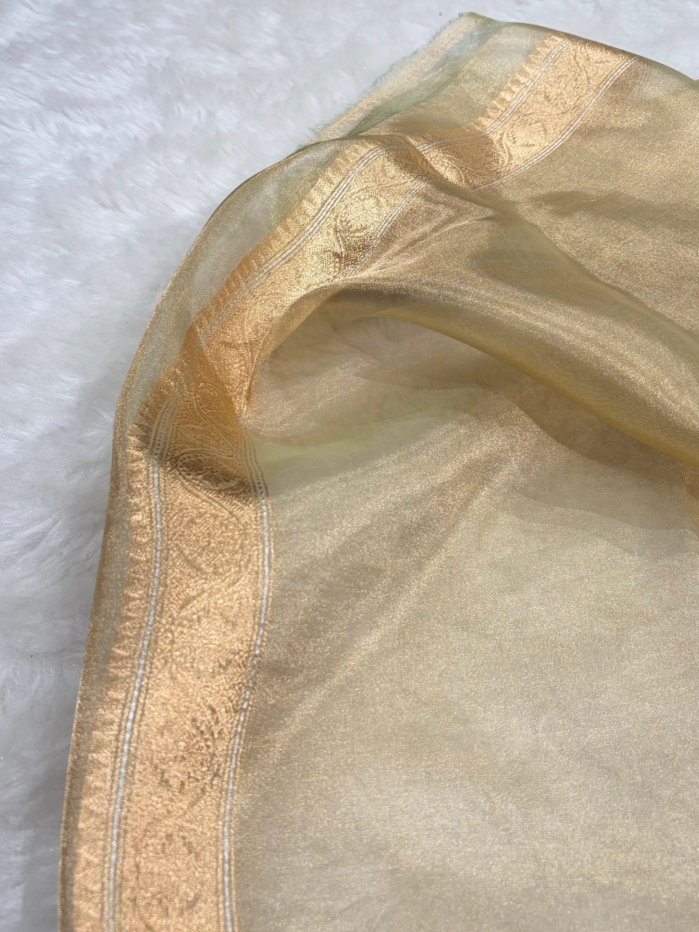 Tusser Bananasi Floral Shades Pure Tissue Silk Saree PT-50