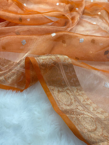 Orange Bananasi Floral Shades Pure Tissue Silk Saree PT-34