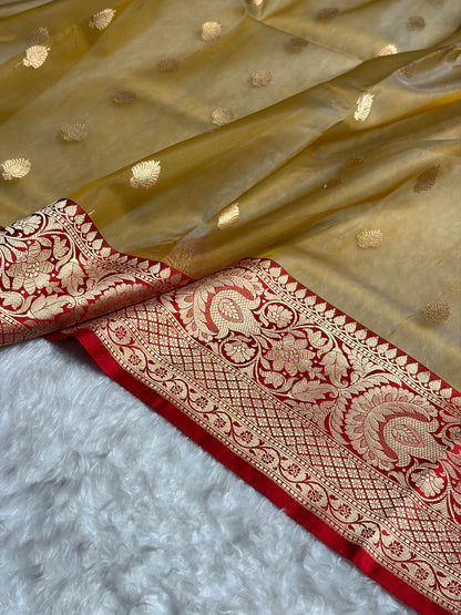 Contrast Pure Banarasi Organza Mustard With Maroon Floral Banarasi Silk Saree PO-16