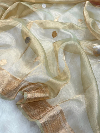 Tusser Bananasi Floral Shades Pure Tissue Silk Saree PT-37