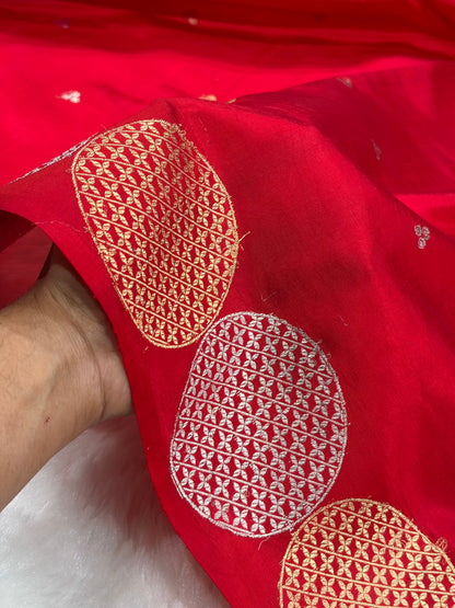 Banarasi Red Shades Handwoven Pure Paper Silk Saree RM-87