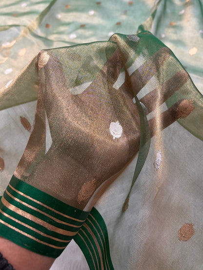 Cross Dark Green Bananasi Floral Shades Pure Tissue Silk Saree PT-35