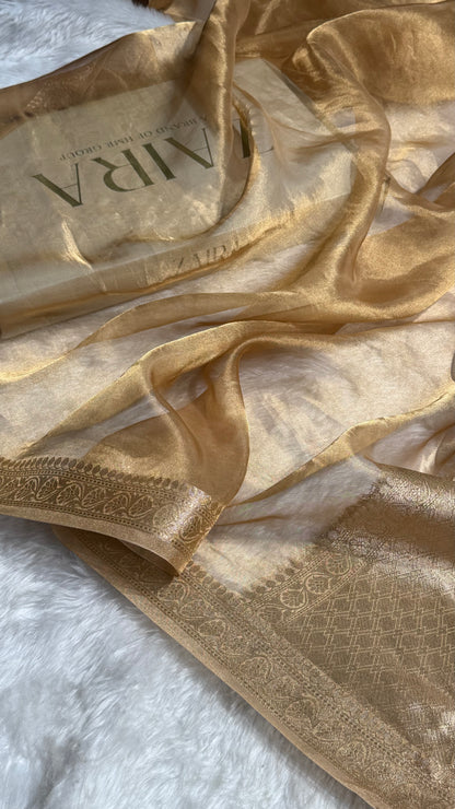Beige Shades Pure Tissue Silk Saree with Brocade Blouse PT-09