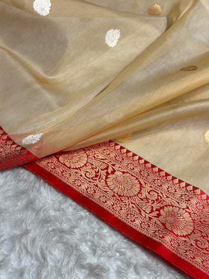 Contrast Pure Banarasi Organza Tusser With Red Floral Banarasi Silk Saree PO-11
