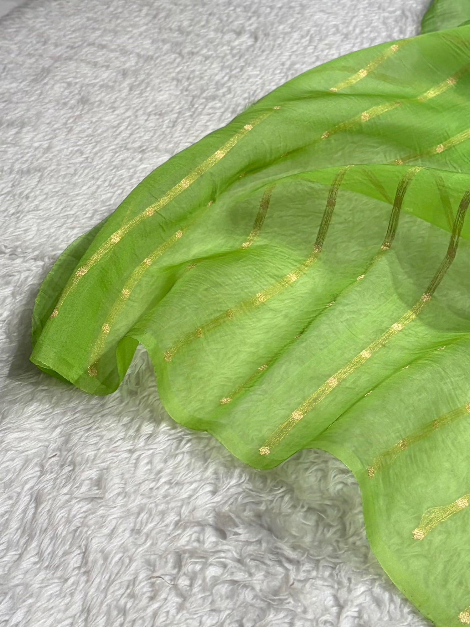 Pure Banarasi Organza Pista Green Shades With Minakari Floral Banarasi Silk Saree PO-30