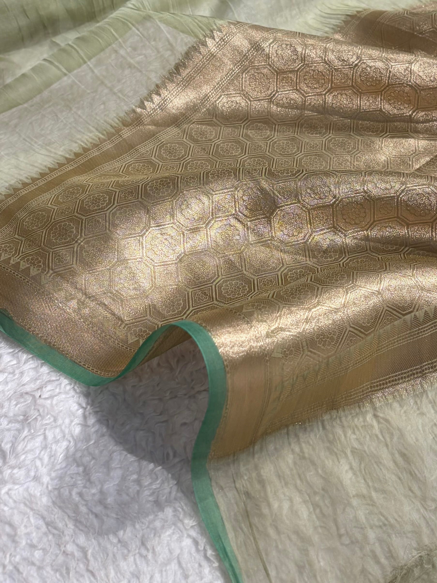 Pure Organza Light Green Banarasi Silk Saree PO-01