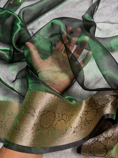 Bottle Green Shade Pure Tissue Silk Saree with Brocade Blouse PT-18