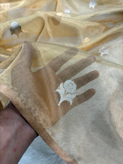 Beige Shades Bananasi Floral Shades Pure Tissue Silk Saree PT-57