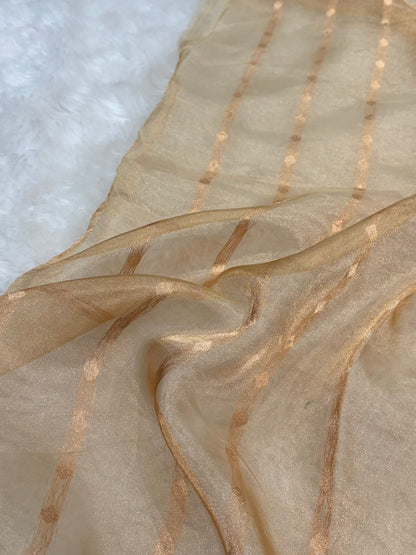 Tusser Bananasi Floral Shades Pure Tissue Silk Saree PT-39