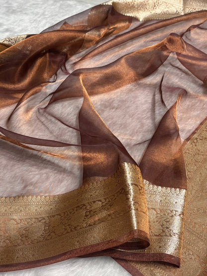Chocolate Shades Pure Tissue Silk Saree with Brocade Blouse PT-08