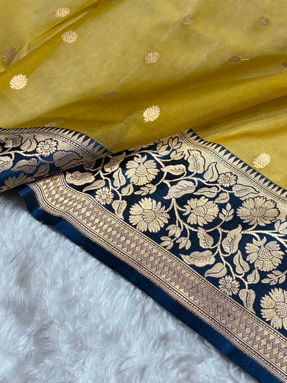 Contrast Pure Banarasi Organza Beige With German Blue Floral Banarasi Silk Saree PO-18