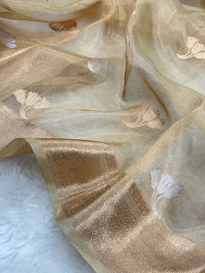 Tusser Bananasi Floral Shades Pure Tissue Silk Saree PT-53