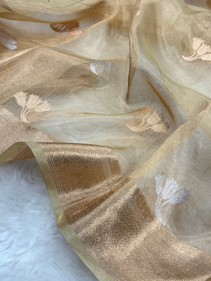 Tusser Bananasi Floral Shades Pure Tissue Silk Saree PT-53