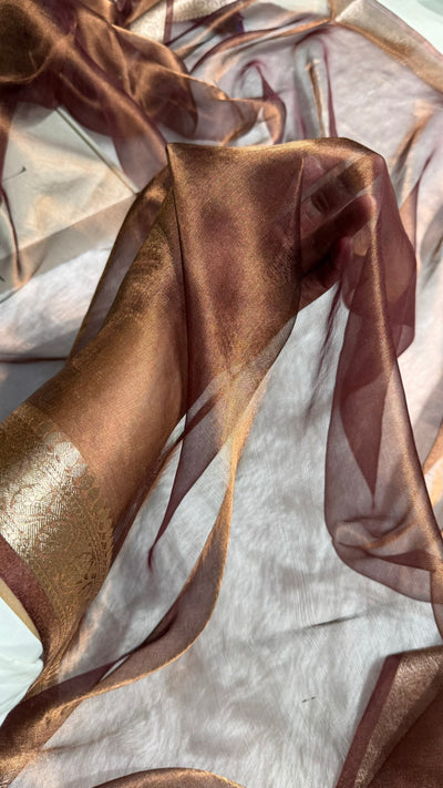 Chocolate Shades Pure Tissue Silk Saree with Brocade Blouse PT-09
