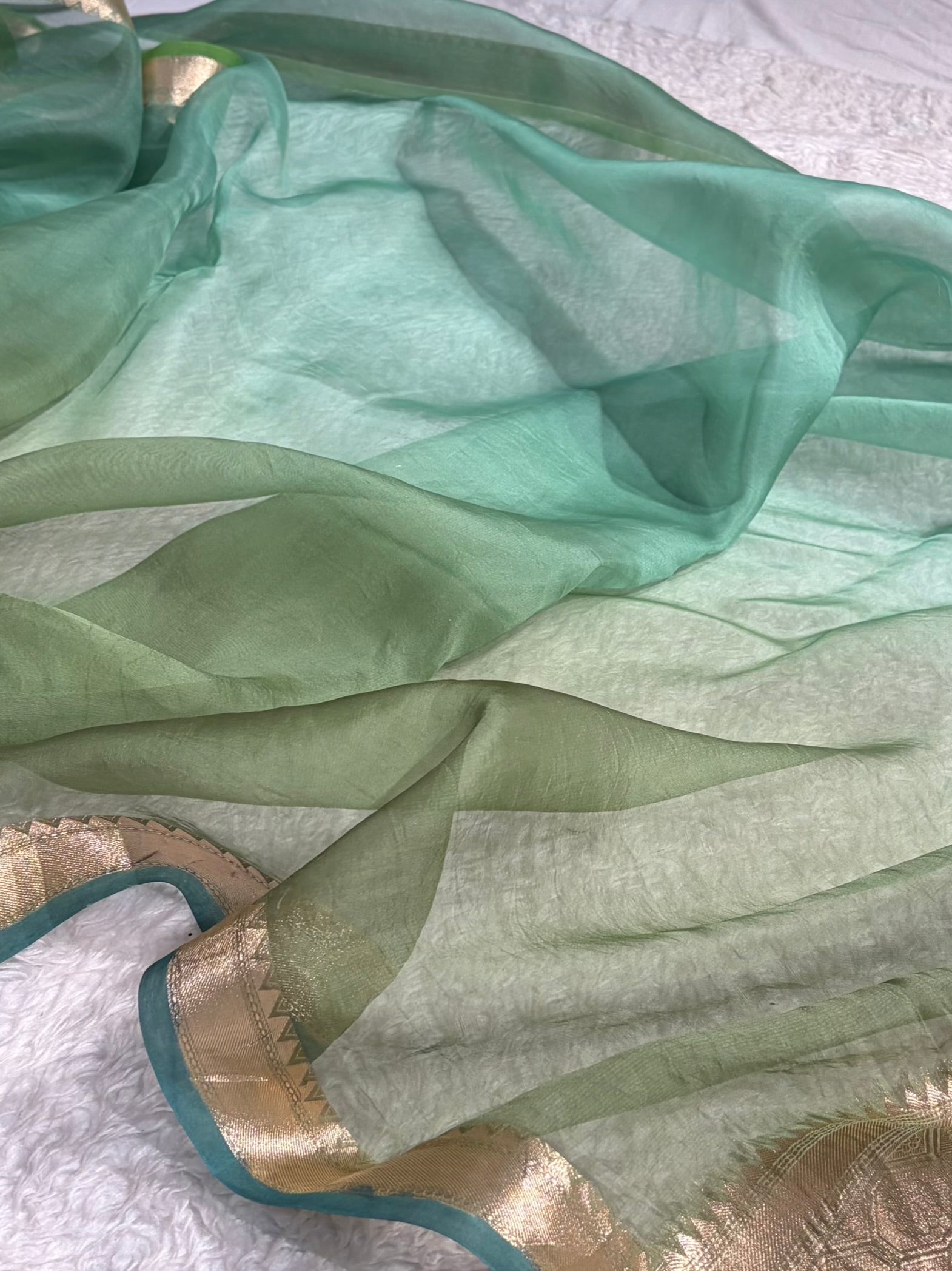 Ombre Pure Organza Sea Green Banarasi Silk Saree PO-01