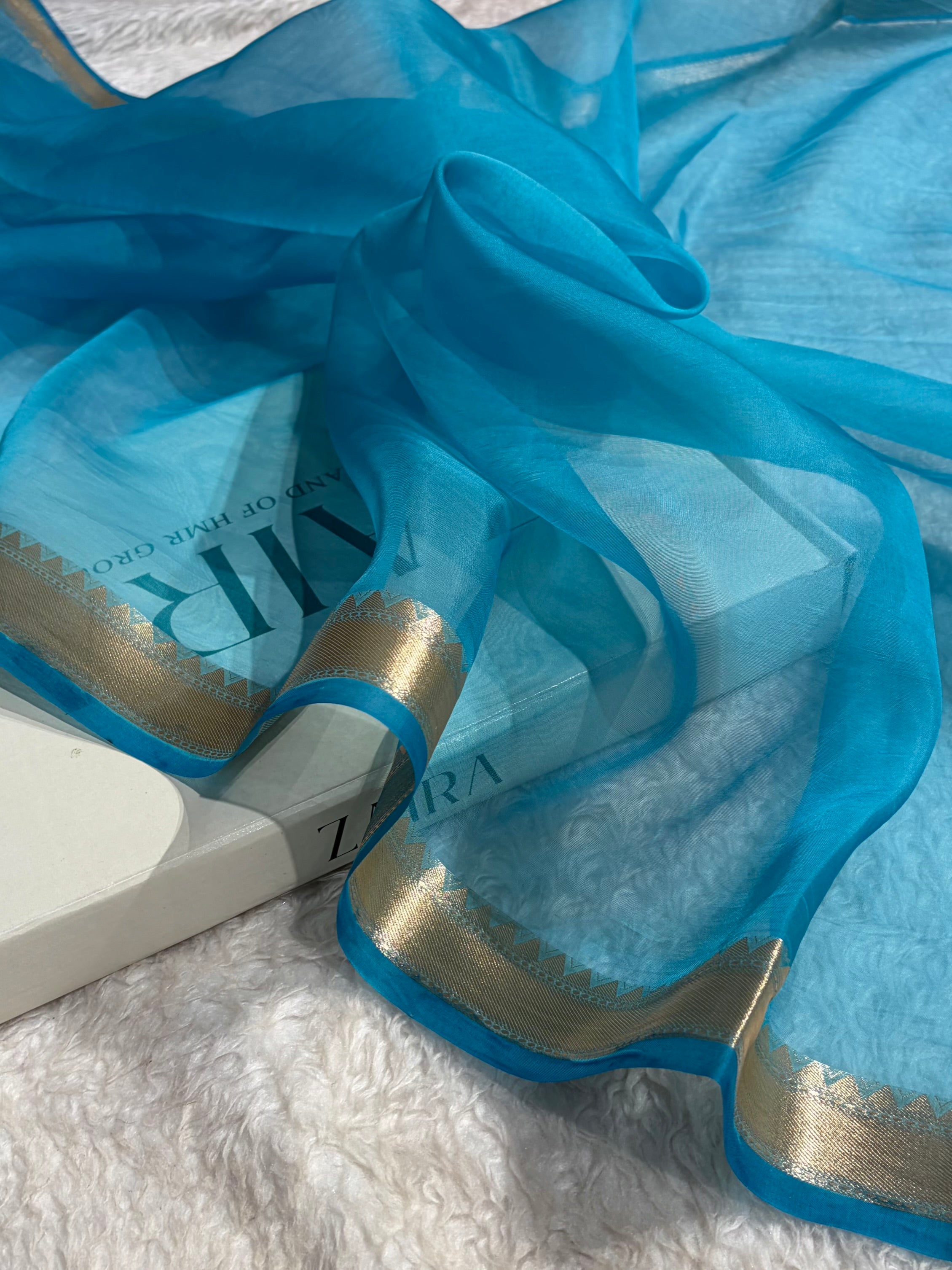 Pure Organza Sky Blue Banarasi Silk Saree PO-01