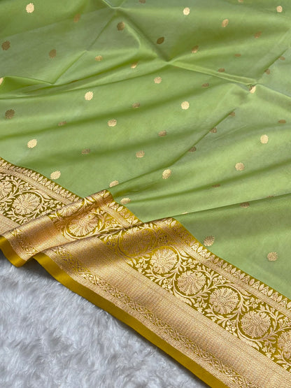 Contrast Pure Banarasi Organza Pista With Mustard Blue Floral Banarasi Silk Saree PO-19