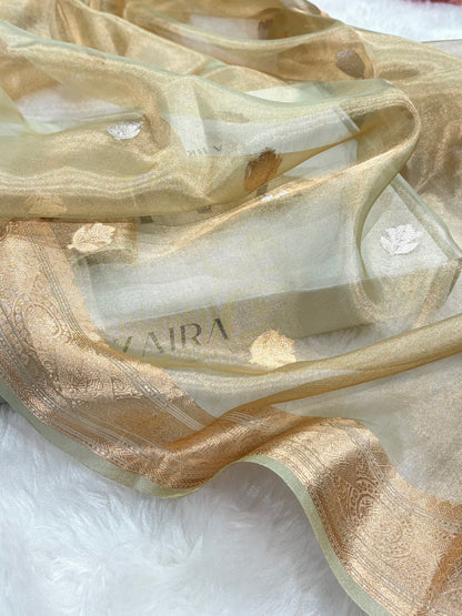 Tusser Bananasi Floral Shades Pure Tissue Silk Saree PT-37