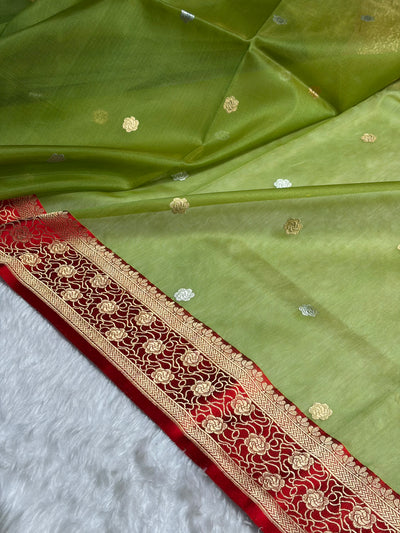 Contrast Banarasi Pure Organza Pista Green With Red Floral Banarasi Silk Saree PO-10