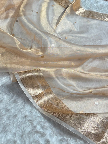 Tusser Floral Shades Pure Tissue Handloom Silk Saree PT-32
