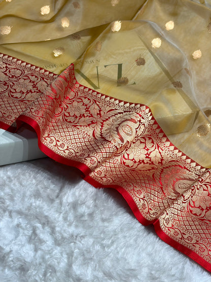 Contrast Pure Banarasi Organza Mustard With Maroon Floral Banarasi Silk Saree PO-16