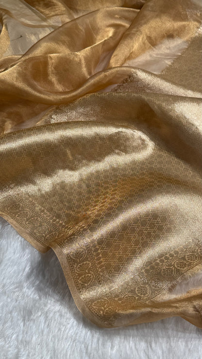 Beige Shades Pure Tissue Silk Saree with Brocade Blouse PT-09