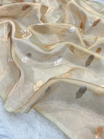 Tusser Bananasi Floral Shades Pure Tissue Silk Saree PT-50