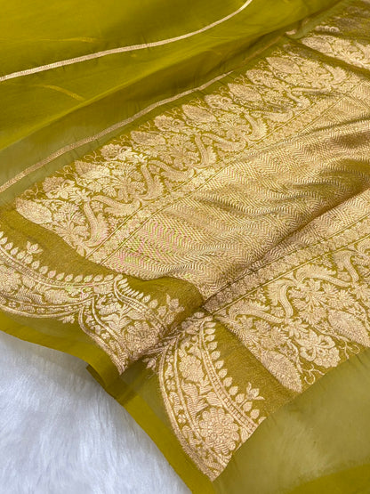 Banarasi Pure Organza Mehendi Green Shades With Scallop Stripe Banarasi Silk Saree PO-32
