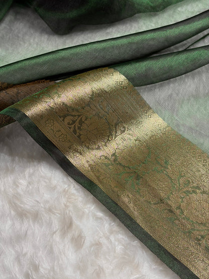 Bottle Green Shade Pure Tissue Silk Saree with Brocade Blouse PT-18