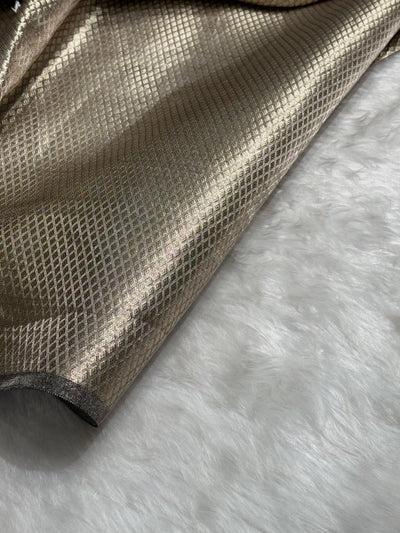 Gray Shades Pure Tissue Silk Saree with Brocade Blouse PT-08