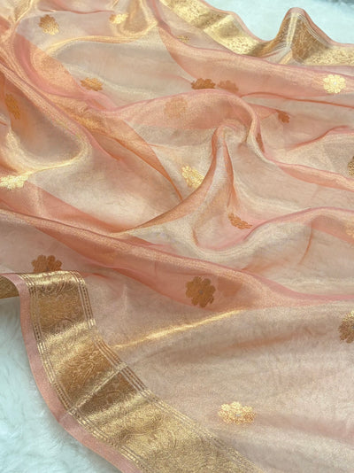 Peach Bananasi Floral Shades Pure Tissue Silk Saree PT-45