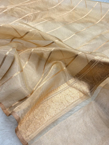 Beige Shades Bananasi Floral Shades Pure Tissue Silk Saree PT-57