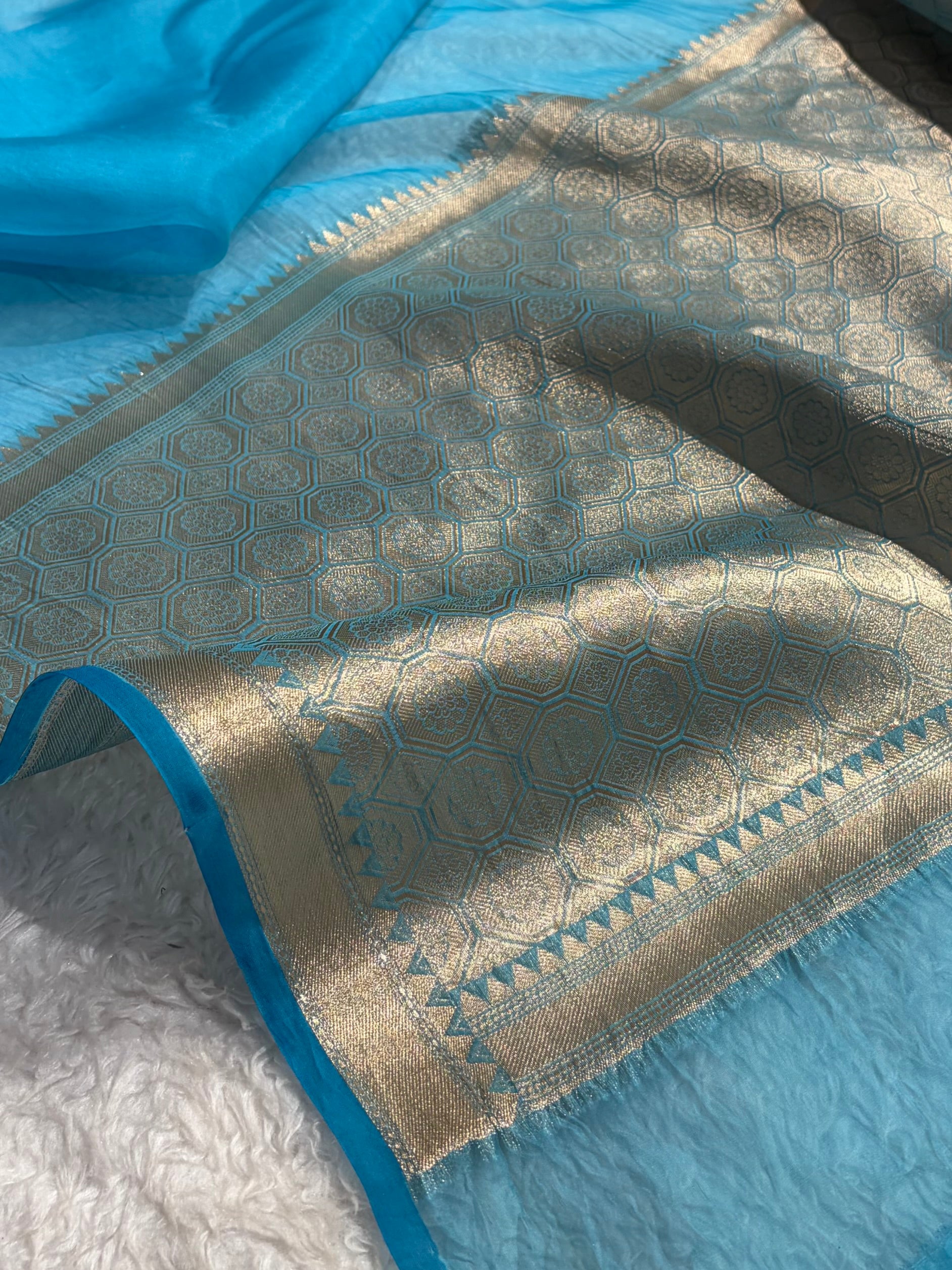 Pure Organza Sky Blue Banarasi Silk Saree PO-01