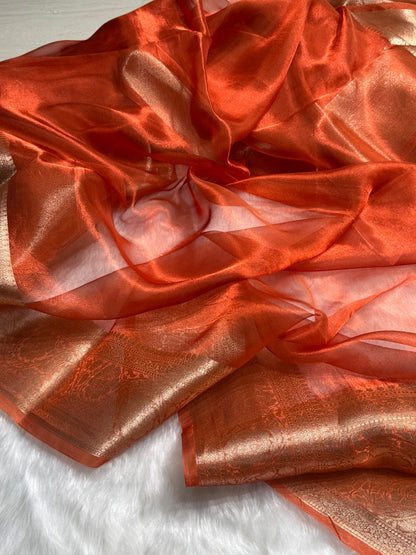 Rust Orange Pure Tissue Silk Saree with brocade Blouse PT-2