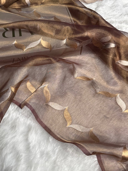Garnet Floral Shades Pure Tissue Handloom Silk Saree PT-24